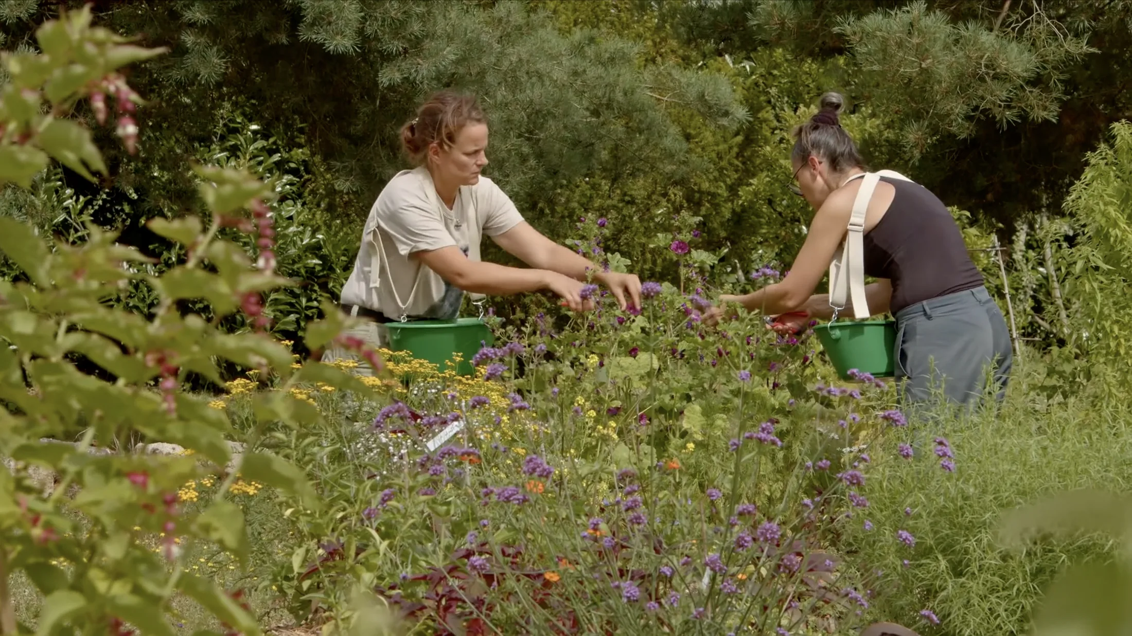 Élodie et Marie-Anne dans leur jardin-forêt